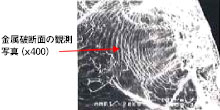 走査型電子顕微鏡（SEM）