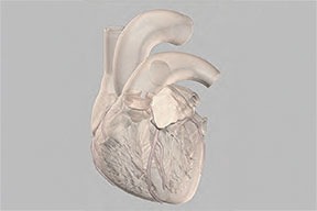 【5/12 開催】デジタル造形技術と医療への応用を語る｜成長産業育成コンソーシアム推進事業（健康・医療分野）／ネットワーキング交流会